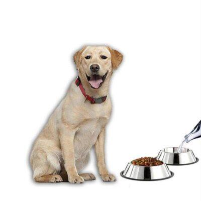 pets empire stainless steel dog bowl rubber base for small medium large dogs set of 2 product images orvqsghdq4m p591143740 0 202202270810
