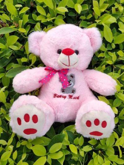 lil ted soft plush stuffed cute lilly bear for kids gifts 30 cm pink product images orv36kmjw8i p597852294 0 202301251118
